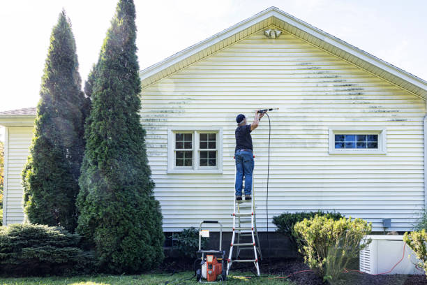 Best Roof Washing  in Squirrel Mountain Valley, CA